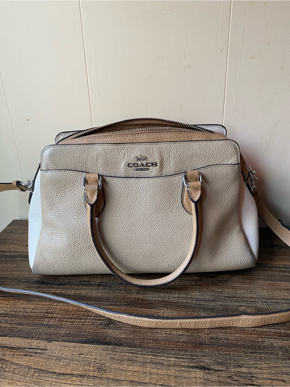 Coach Darcie Leather Carryall